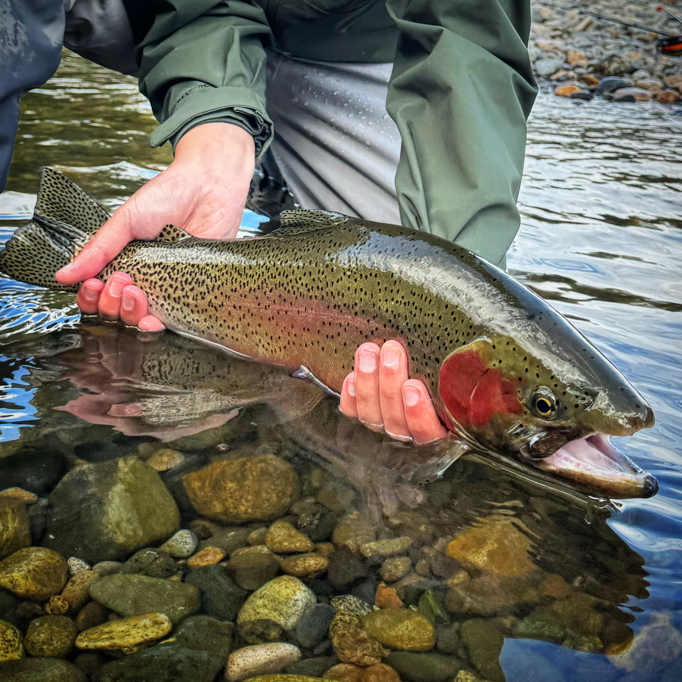 Methow River scenery