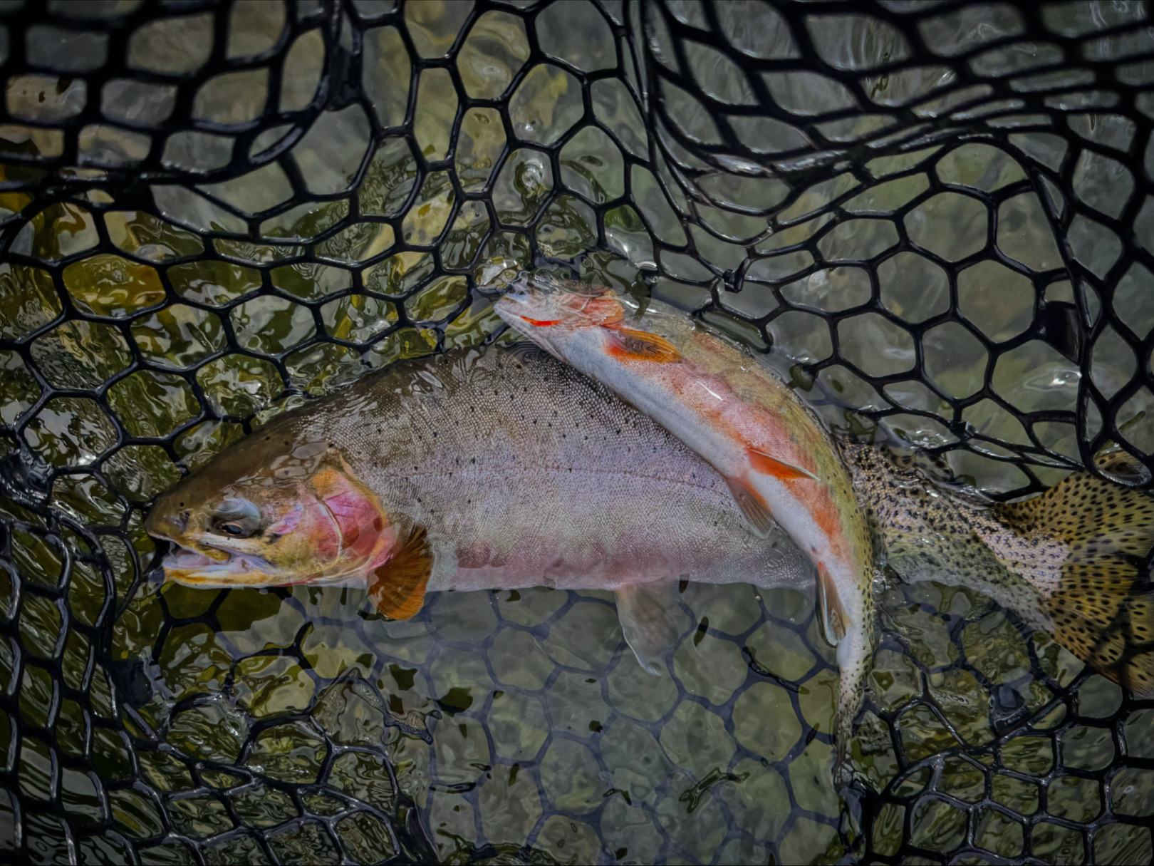 Fly fishing on the Methow