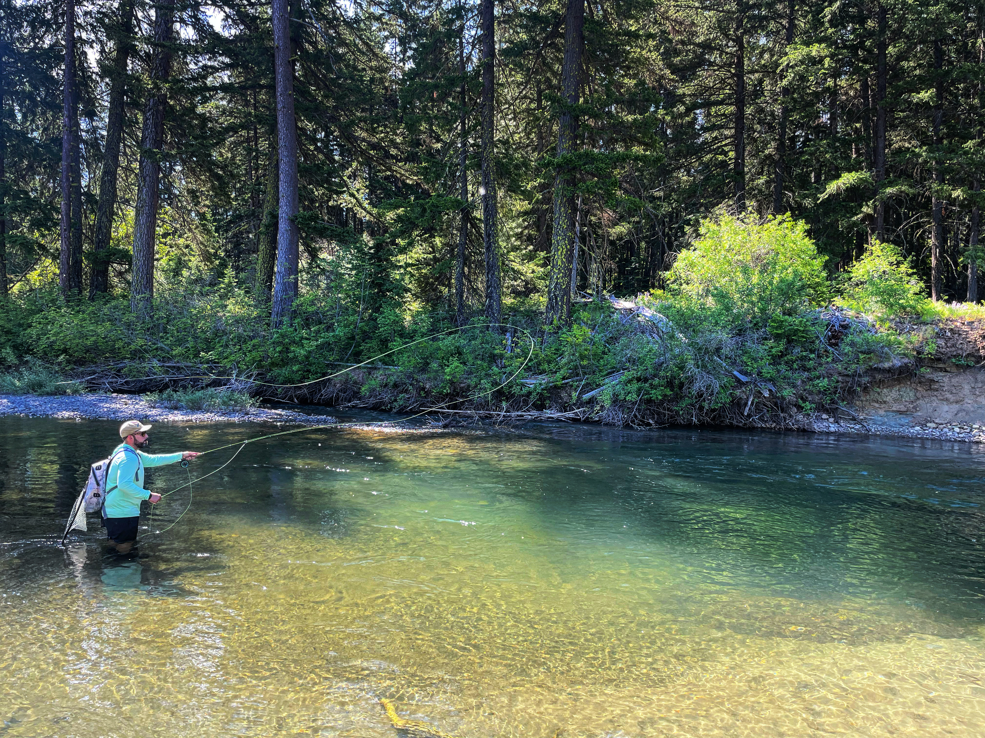 Beautiful mountain stream