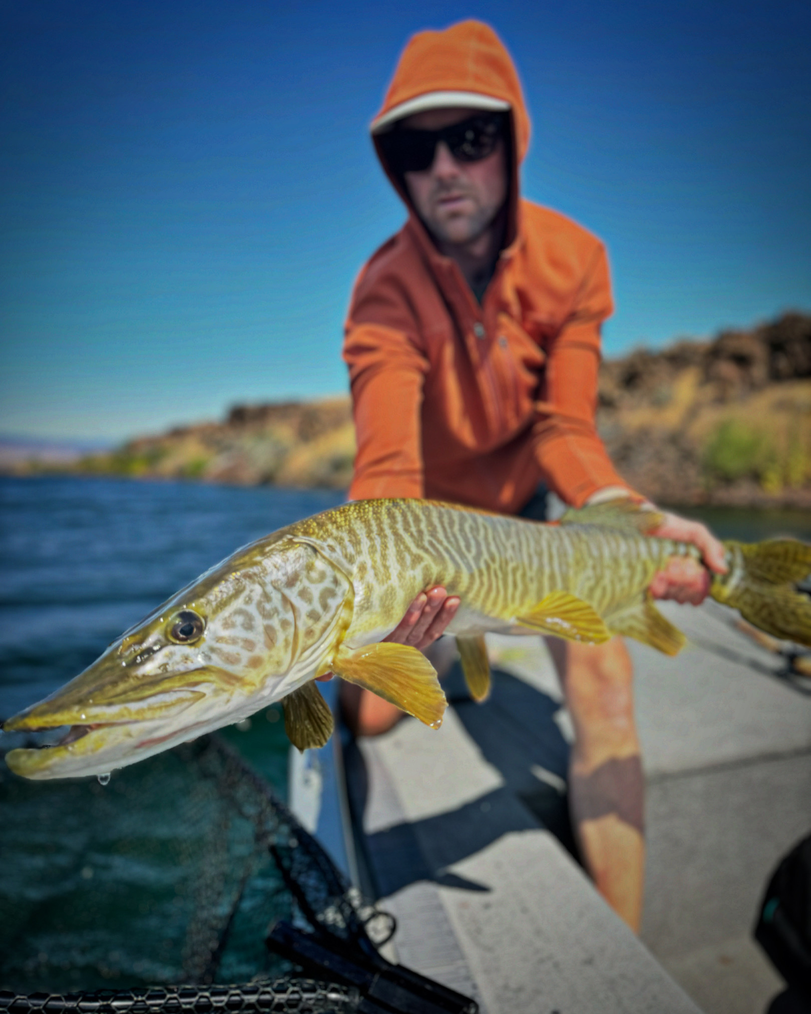 Trophy fish catch at Stillwater