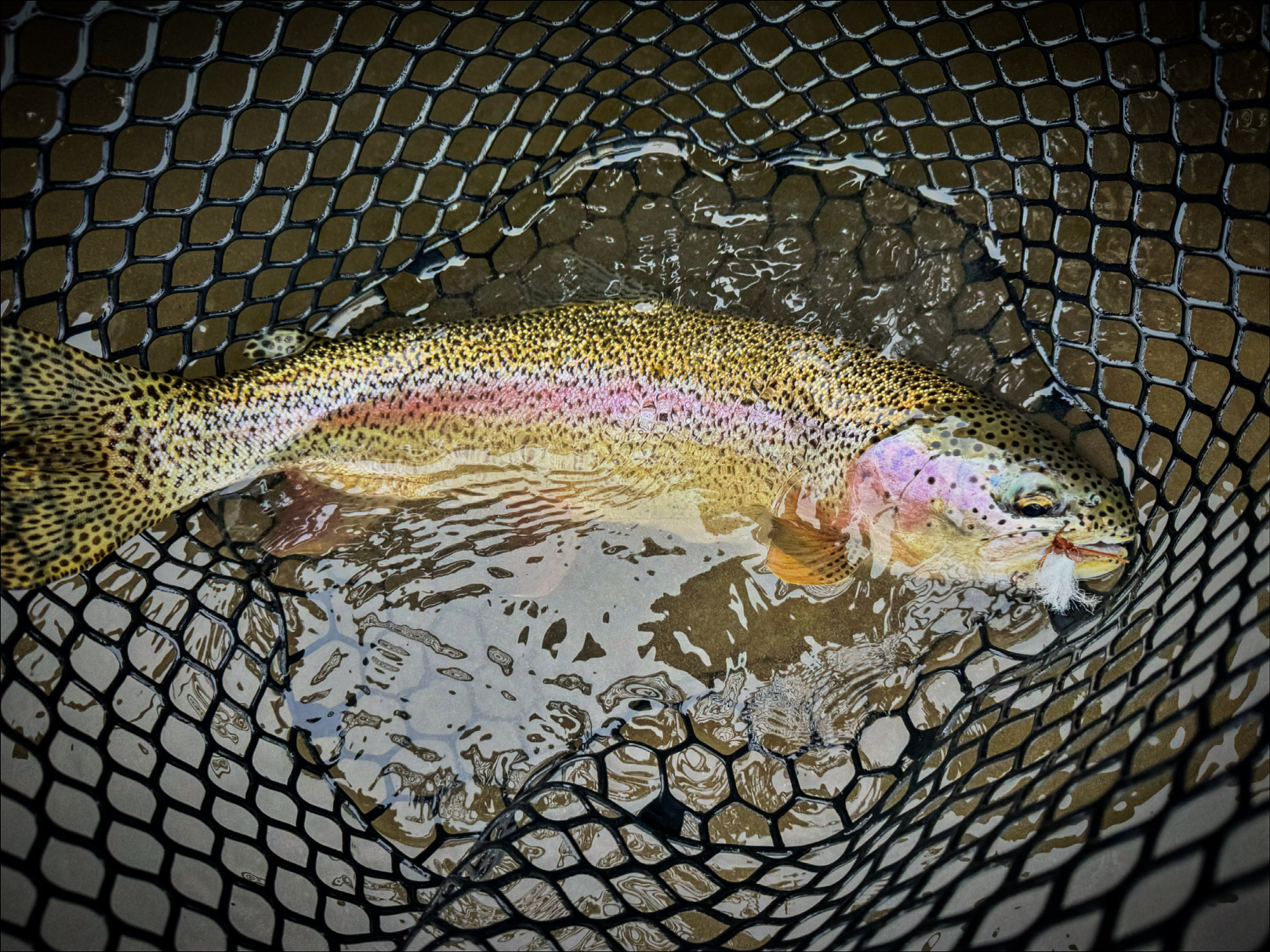 Yakima River fishing experience